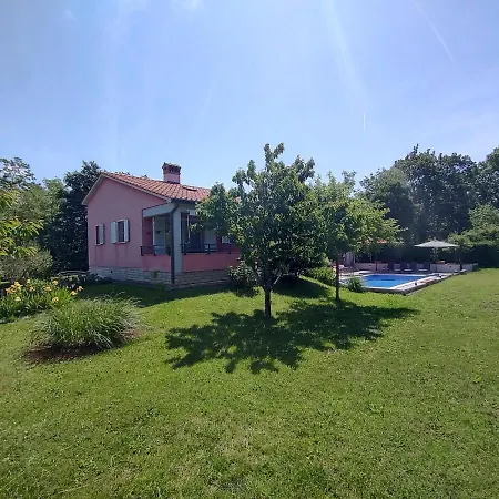 Vetva Nedeščina